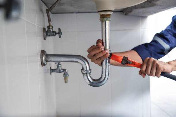 Best Clogged Drain Plumber  in Boscobel, WI