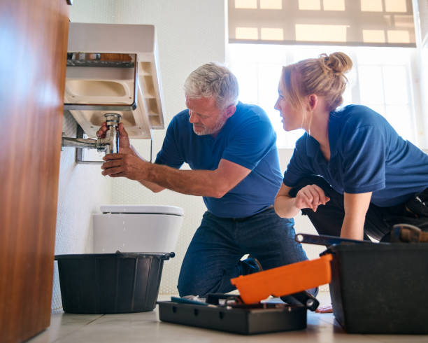 Best Leak Detection Services  in Boscobel, WI