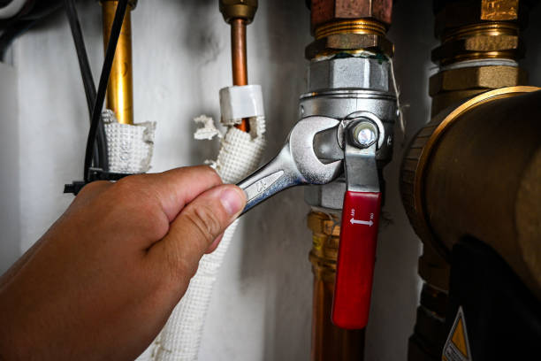 Best Same-Day Plumbing Service  in Boscobel, WI